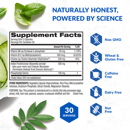 Eternal Mind Supplement Facts||aria-describedby="text-alternative-eternal-mind-suppfacts"