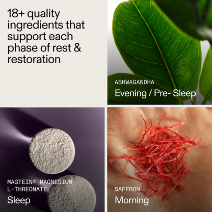 Zovost: Nightly Sleep Support